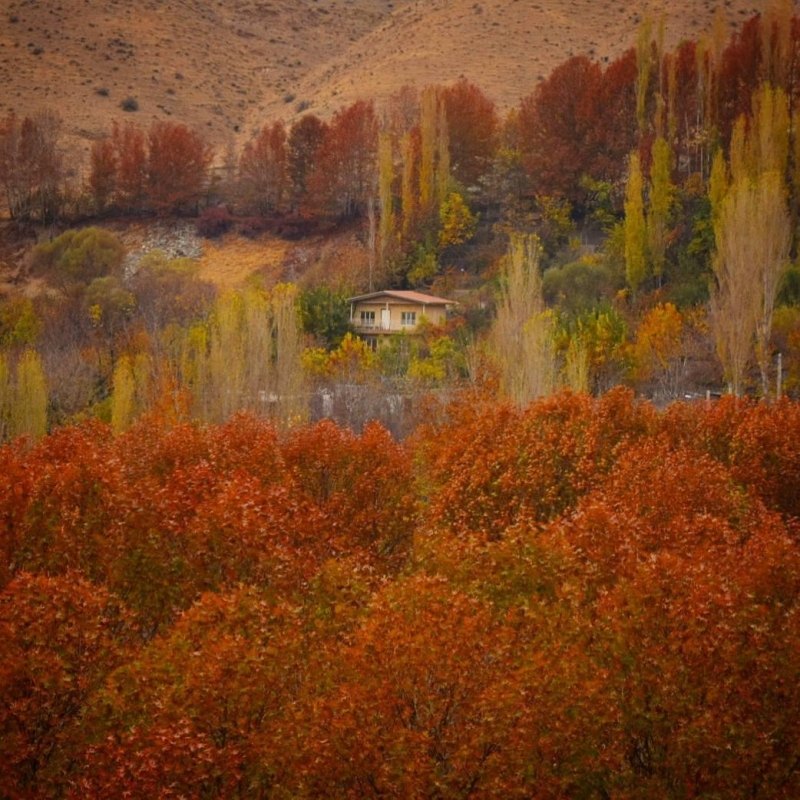taleghan (1) taleghan