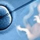 IVF