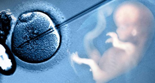 IVF